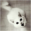 Evgenia2